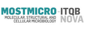 logos partners ls4future_mostmicro